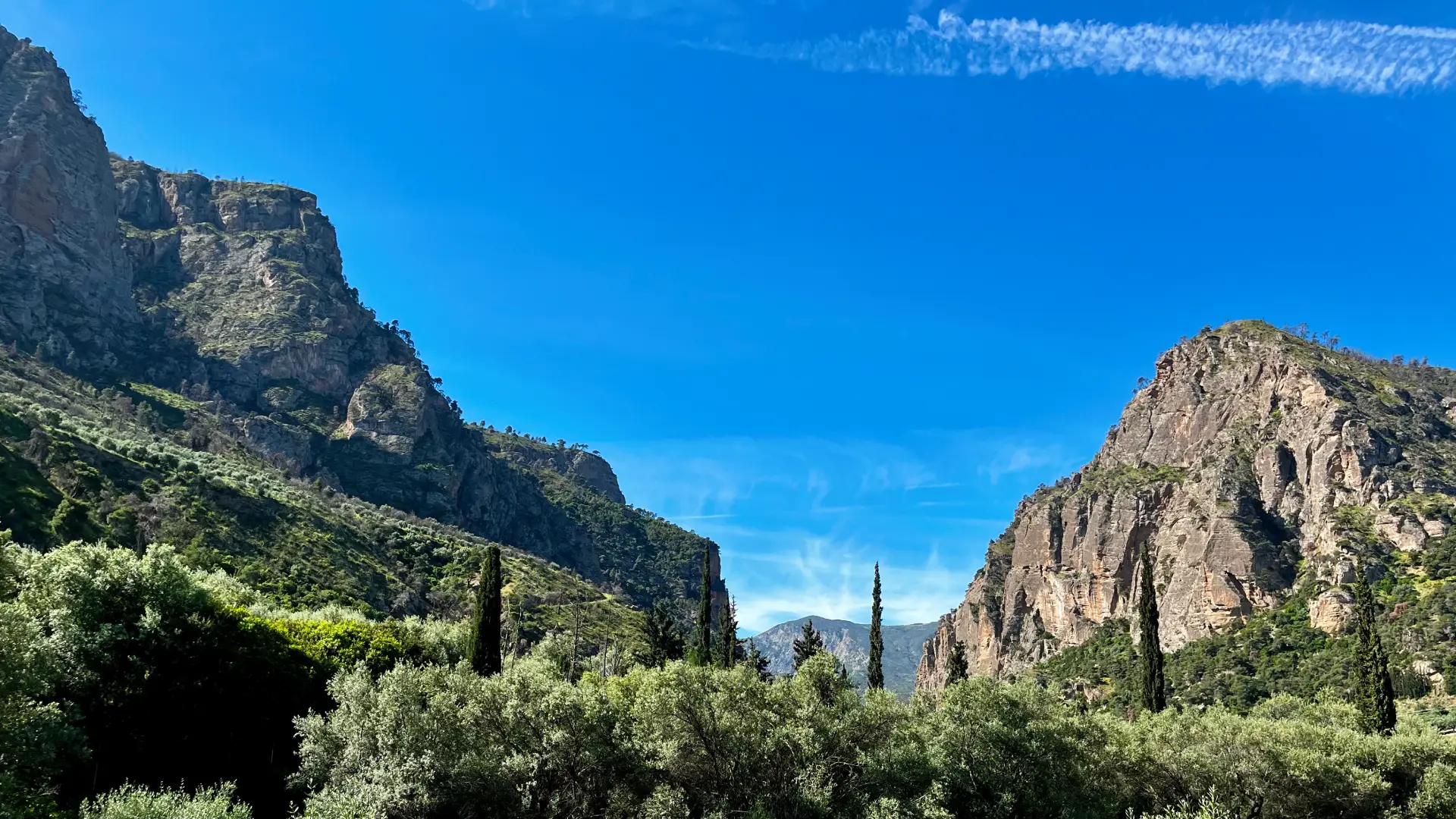 Panoramic view of the lush Vouraikos Gorge limestone cliffs