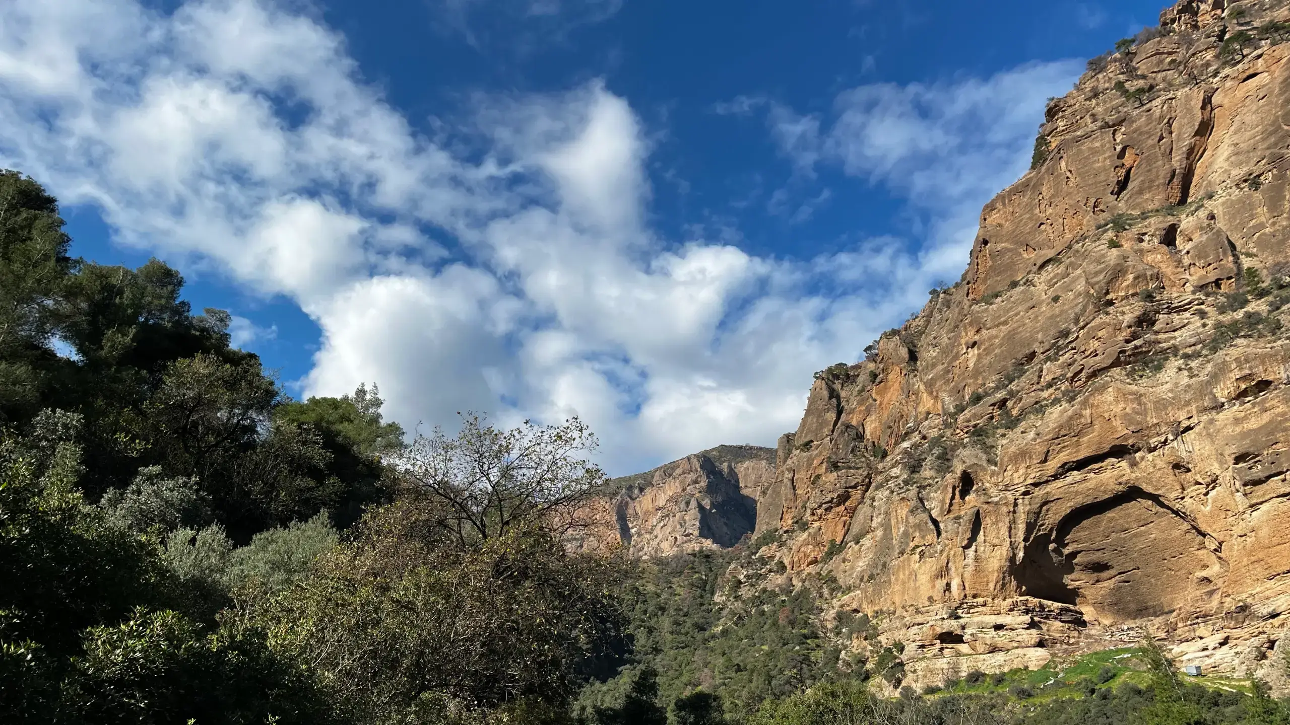 Διαδρομή μέσα στη φύση του φαραγγιού | Route through the gorge nature